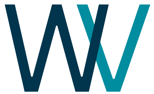 Website Vision Logo